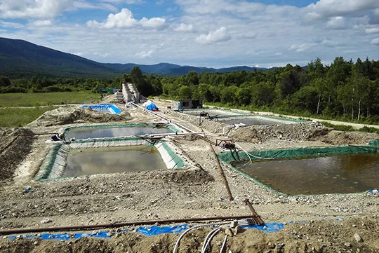 Key Methods for Controlling Sodium Cyanide Consumption in Gold Ore Leaching