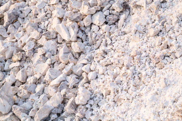 The Synergistic Effects of Sodium Cyanide and Auxiliary Agents